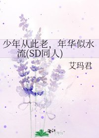 少年从此老,年华似水流(SD同人)